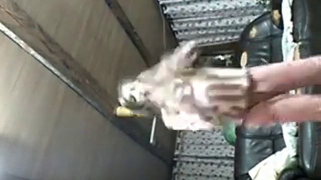 Я толстая!!! смотреть онлайн