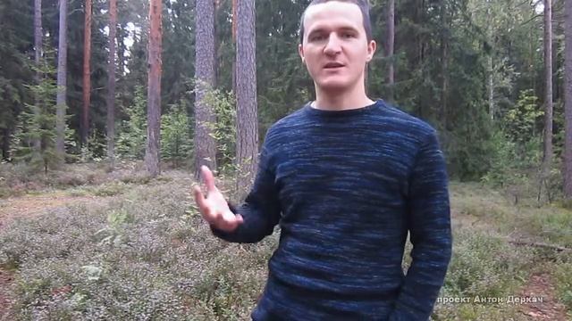 Антон Деркач - Как разогнать паровоз? смотреть онлайн