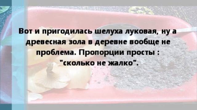 Как помочь рассаде нарастить корневую систему? Без химии ! смотреть онлайн