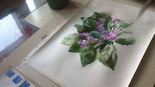 Как написать комнатную фиалку акварелью. Часть 2.mp4 смотреть онлайн