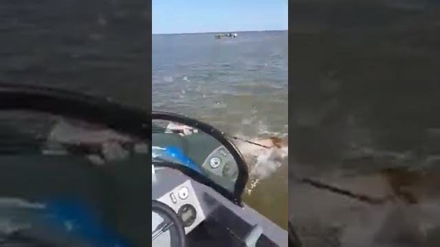 🐟 Есть женщины в русских селеньях... смотреть онлайн