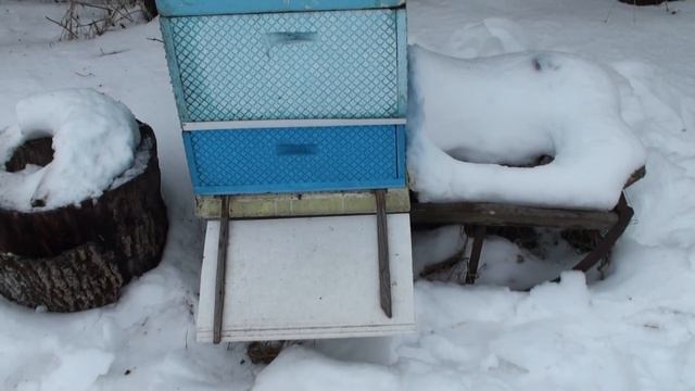 Зимовка пчел на воле и эффективные прилетные доски