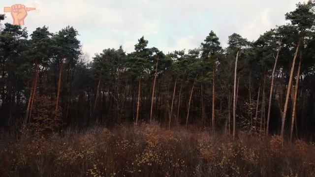 Detecting HUGE WW2 Military Camp | Eastern Front смотреть онлайн