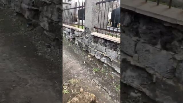 Что случиться с шлакоблоком на фундаменте без гидроизоляции смотреть онлайн