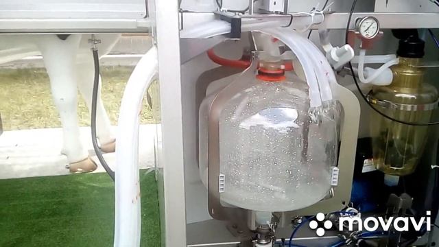 Обзор. ДОИЛЬНЫЙ РОБОТ Lely Astronaut. Доильное оборудование