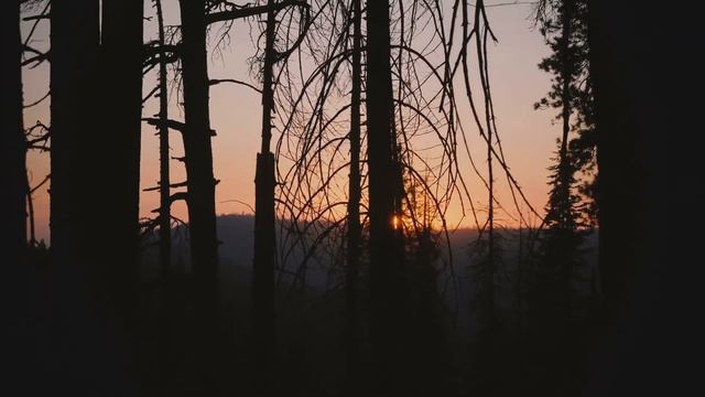Twilight Forest, Michael Allen Harrison, Soothing Solo Piano смотреть онлайн