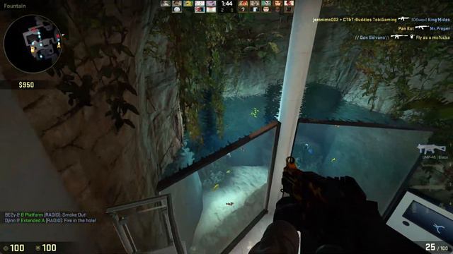 CS:GO Operation bloodhound: ZOO is beautiful!! смотреть онлайн