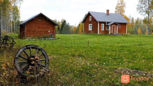 Коттедж в лесу | Истории для сна #13 | Hapday