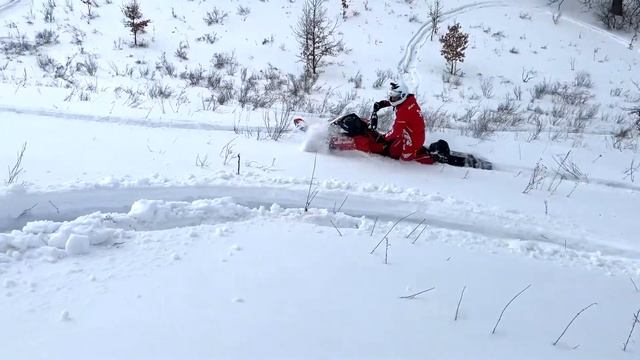 Снегоходы 2020/2021