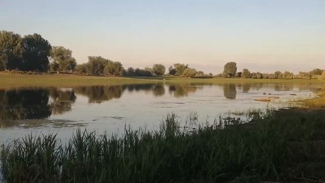 Ещё один приятный вечер на берегу смотреть онлайн