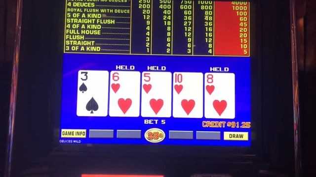 Deuces Wild Video Poker! (live play) Triple play Multi-hand смотреть онлайн