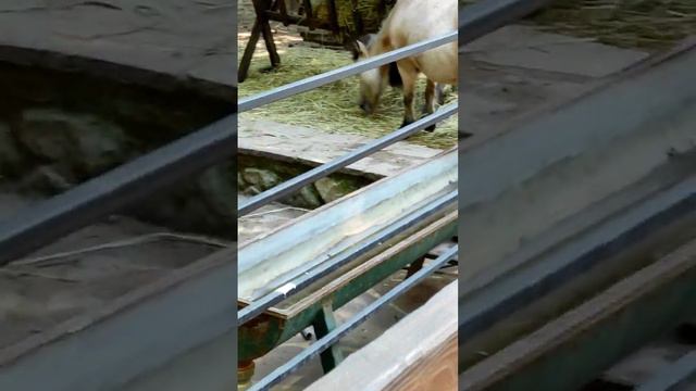 Парк Лога смотреть онлайн