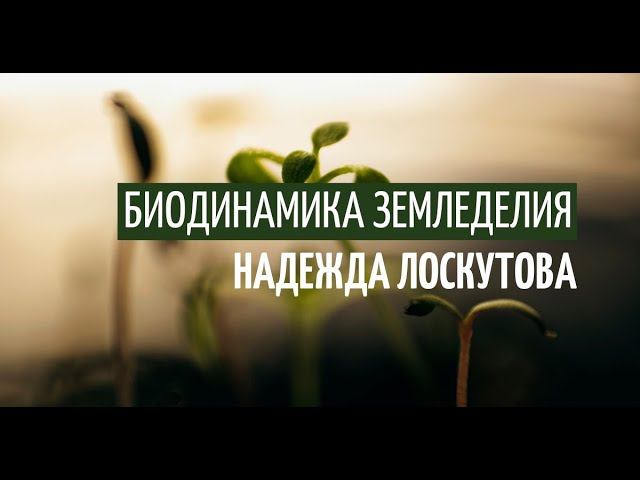 Биодинамика земледелия - что это? Создатель биодинамики земледелия Рудольф Штайнер смотреть онлайн