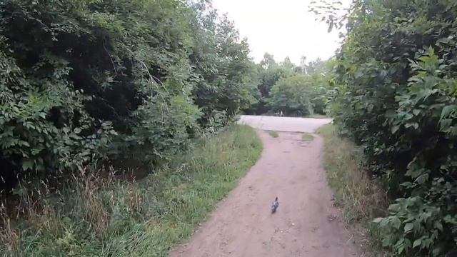 #Липецк. Продолжение эфира. Прямая трансляция с камеры #GoProHero7Black 19.07.2019