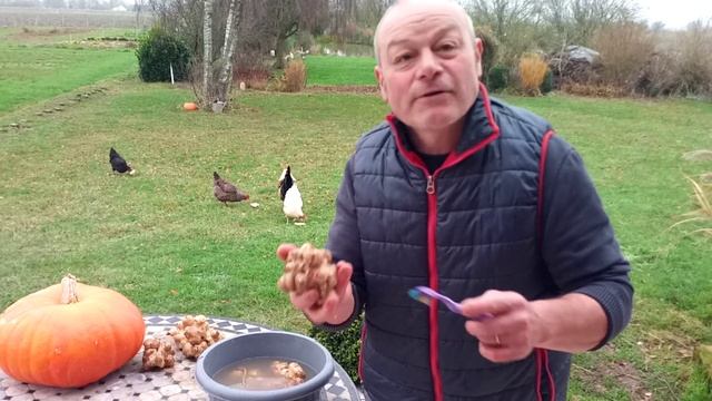 la galère : comment nettoyer vos topinambours смотреть онлайн