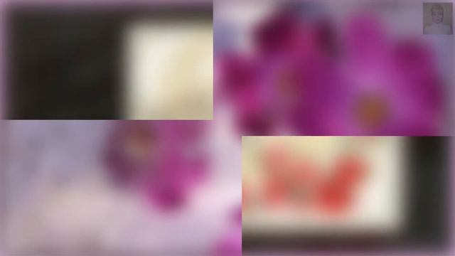 Посвящается Близнецовому пламени смотреть онлайн