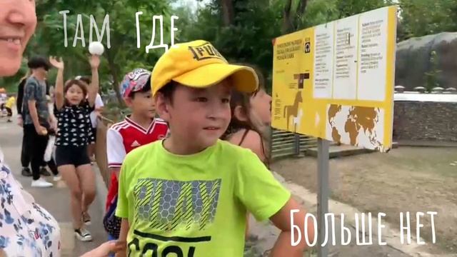 Дневной лагерь для начальной школы смотреть онлайн
