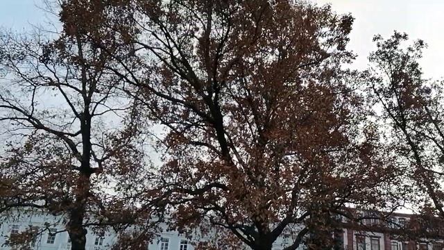 ОДЕССКИЙ ТЕАТР ОПЕРЫ и БАЛЕТА !!! смотреть онлайн