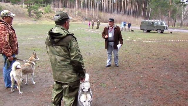 ЧАРА 2я в РИНГЕ смотреть онлайн