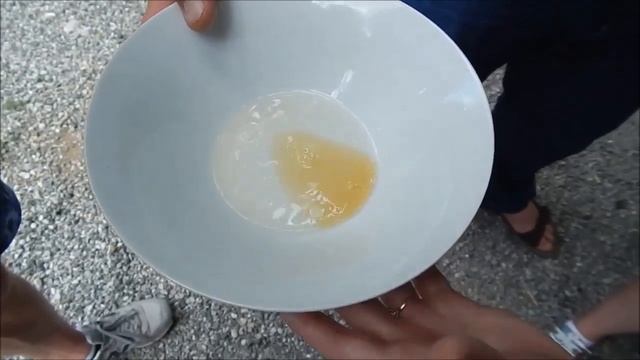 Как определить качество мёда смотреть онлайн