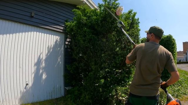 I WAS WRONG In Thinking That Trimming An OVERGROWN Beech Hedge Would Only Take TWO HOURS