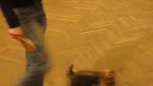 КЕТЛИ ЕВРОПА ПЛЮС, ЛПП смотреть онлайн
