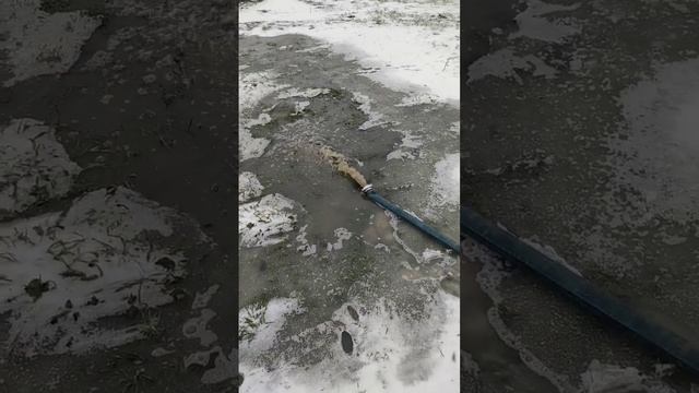 продолжение выкачать канализацию смотреть онлайн