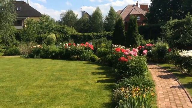 Вернисаж в Звягино смотреть онлайн