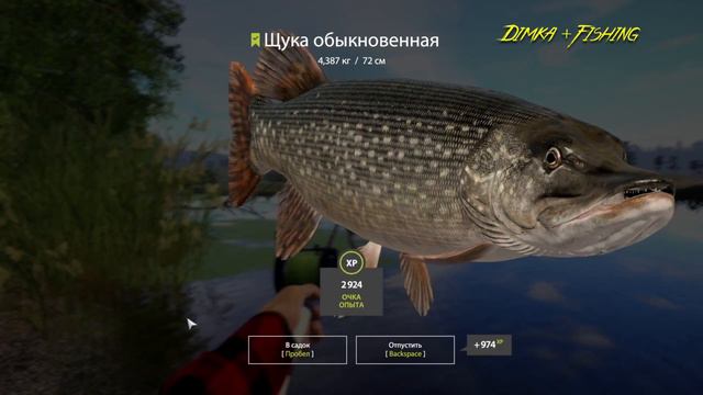 Русская рыбалка 4.🎣🦈 оз. Старый Острог 🐬🐬💦 КАК ЛОВИТ LATORSO 👀 смотреть онлайн