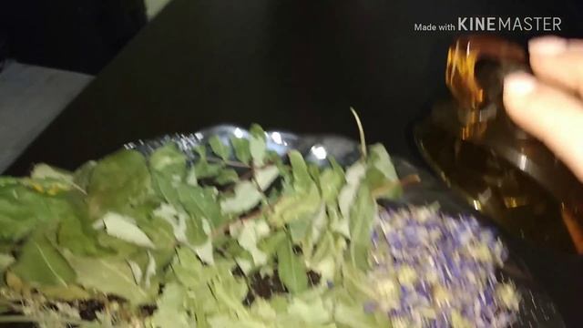 Питание ослабленных шиншилл. Кормление шиншиллы после болезни. смотреть онлайн