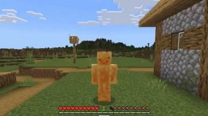 Я добавил Ваших Мобов в Майнкрафт...