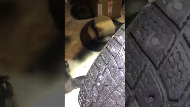 23 декабря 2023 г. смотреть онлайн