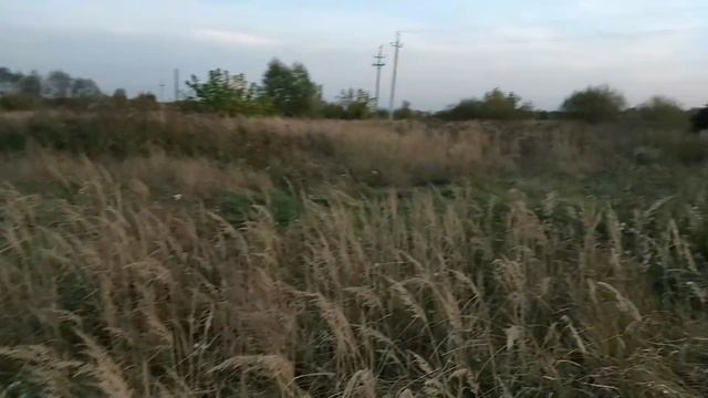 металлокоп с гаррет 200i смотреть онлайн
