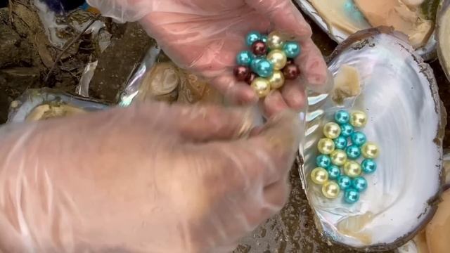 The pearl oyster is a bit small, but there are many pearls, and the pearl color is also very unique смотреть онлайн