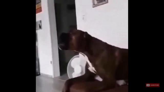 Самая большая волна в мире смотреть онлайн