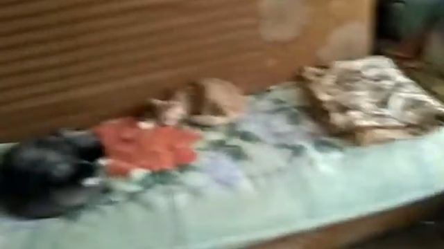 дивиди Супра и телевизор Самсунг