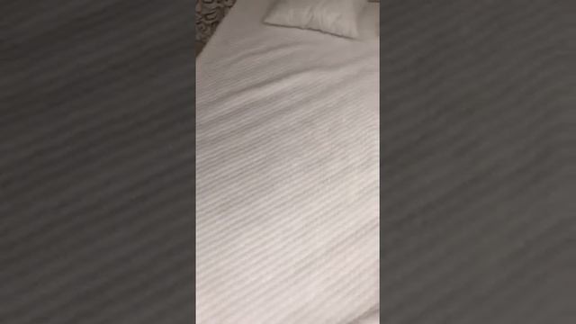 Матрас Димакс мега лайт хард отзыв смотреть онлайн