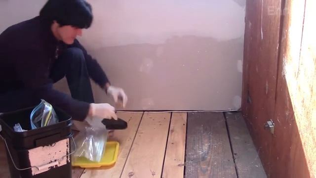 About Us - Ehrlich Pest Control смотреть онлайн