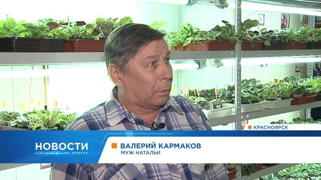 Жительница Красноярска превратила квартиру в оранжерею с 4 тысячами фиалок смотреть онлайн