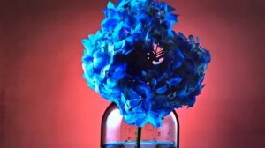 Отзыв на Телевизор TCL 43P728 спустя 2 года использования. Плюсы и минусы