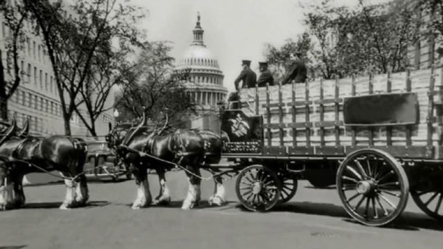 Все самое важное о Клайдсдейлах (Clydesdales) смотреть онлайн
