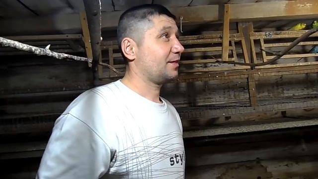 Подготовка попугаев к размножению. Часть -1. смотреть онлайн