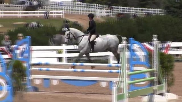 Video of DEL MAR ridden by ANNA RICHARDSON from ShowNet! смотреть онлайн