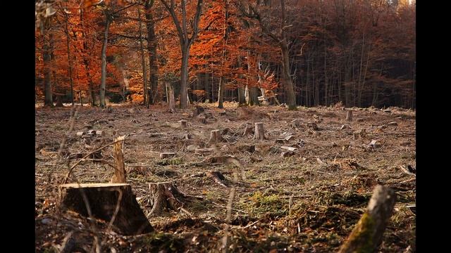 Ungheni History (Moldova) смотреть онлайн