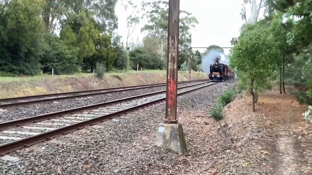 Victoria Train Horn And Whistle Compilation! смотреть онлайн