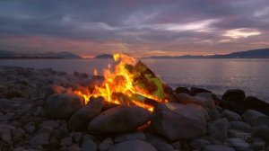 Костёр у озера во время заката | Звуки костра, огонь, камин . Расслабление, уют, фон для сна.