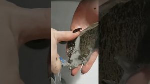 Как добывают мел и глину ,,,,How is chalk and clay mined?