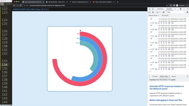 How to Add Labels Around the Radial Bar Chart in Chart JS 4 смотреть онлайн