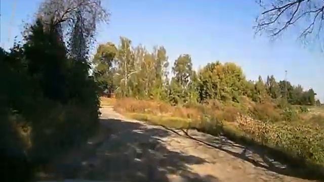 Падают листья, и не только... смотреть онлайн