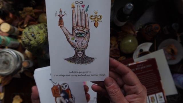 The Oracle of Wylder Ones by Sharon Mcleod Unboxing & Full Flip Through of смотреть онлайн